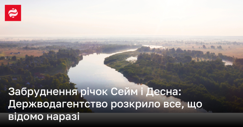 Забруднення річок Сейм та Десна: Держводагентство оприлюднило наявну інформацію