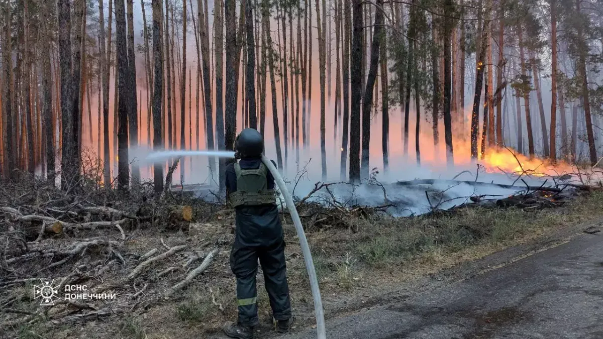 У національному парку 