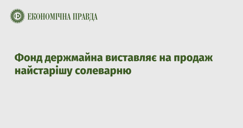 Фонд державного майна пропонує на продаж найдавніший завод з виробництва солі.