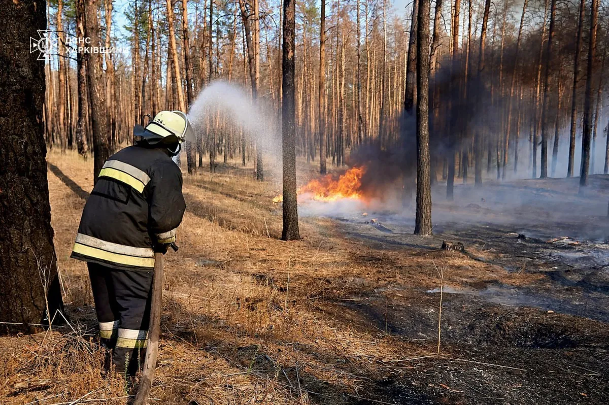 В Харківській області було зареєстровано 115 випадків пожеж: Регіональній військовій адміністрації надано завдання оновити плани евакуації для населення | УНН