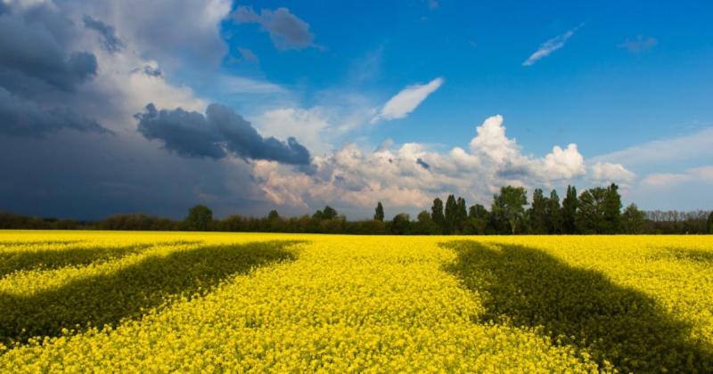 НААН. Професіонали підтримують науковців, а не рейдерські дії.