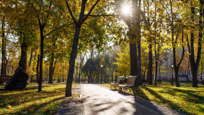 Які температурні умови спостерігатимемо в останній день жовтня та коли варто чекати на похолодання - Дискусія