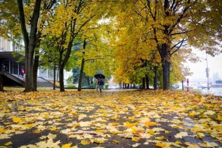 Синоптик Діденко поділилася своїм прогнозом погоди, розповідаючи, що слід очікувати 7 листопада.